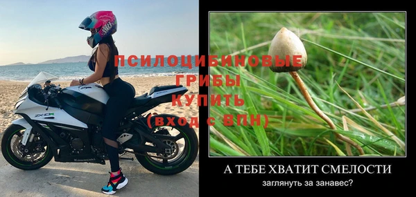 мяу мяу мука Навашино